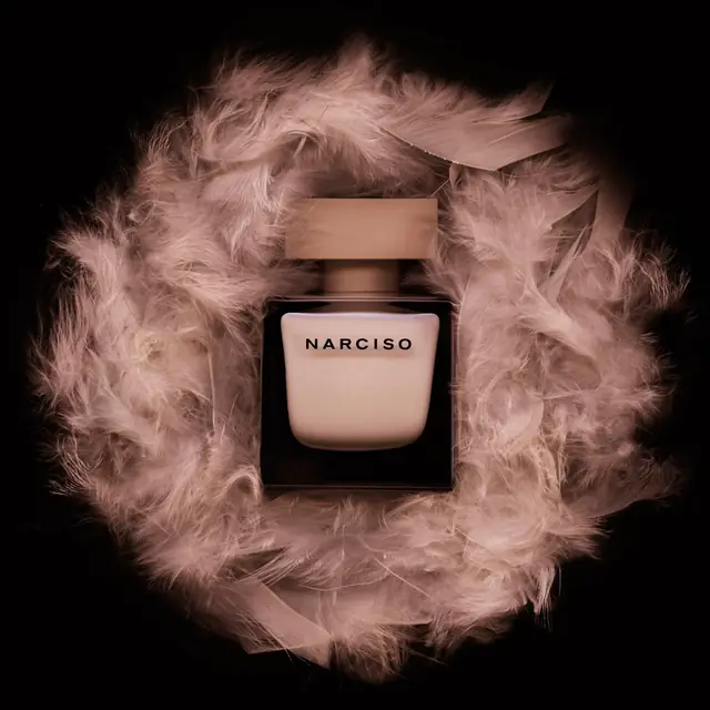 Narcisso - 'Feathers'