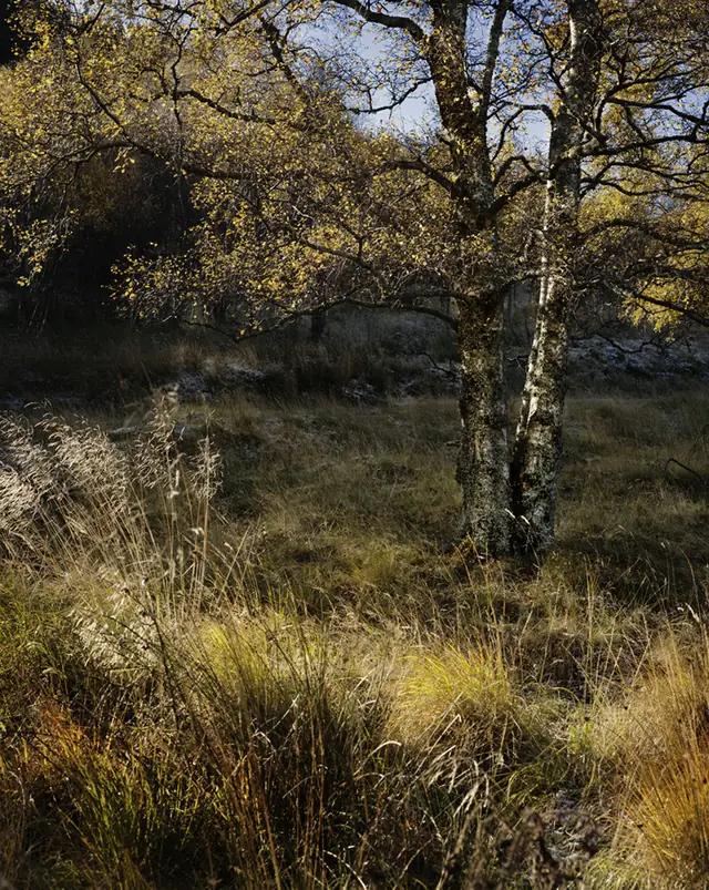 Scottish Highlands