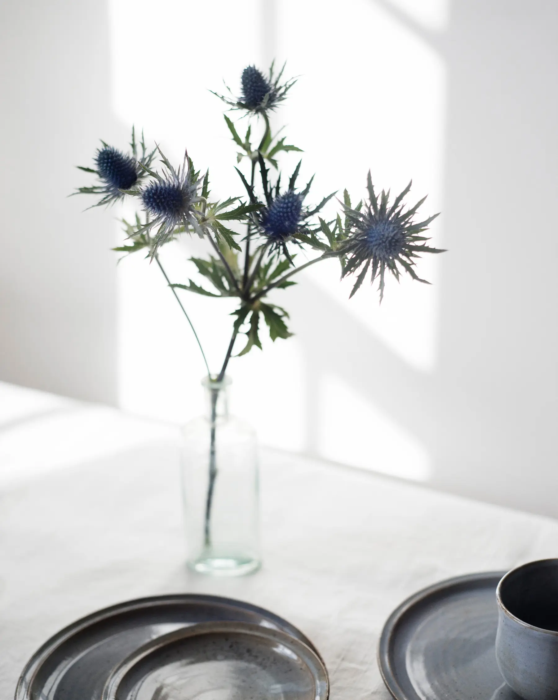 Thistle – Bottles, Leaves and Thistle