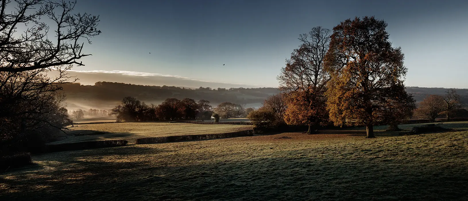 Glebe House Estate, Morning View